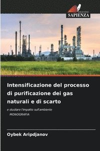 bokomslag Intensificazione del processo di purificazione dei gas naturali e di scarto