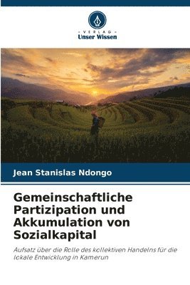 Gemeinschaftliche Partizipation und Akkumulation von Sozialkapital 1