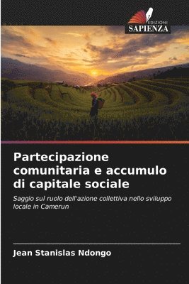 bokomslag Partecipazione comunitaria e accumulo di capitale sociale