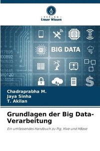 bokomslag Grundlagen der Big Data-Verarbeitung