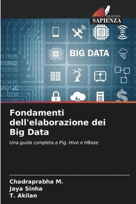 bokomslag Fondamenti dell'elaborazione dei Big Data