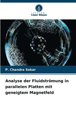 Analyse der Fluidstrmung in parallelen Platten mit geneigtem Magnetfeld 1