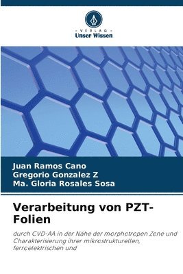 Verarbeitung von PZT-Folien 1