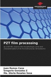 bokomslag PZT film processing