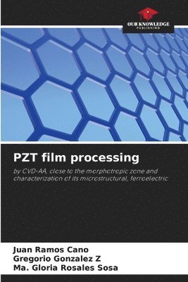 bokomslag PZT film processing