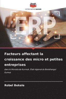 bokomslag Facteurs affectant la croissance des micro et petites entreprises