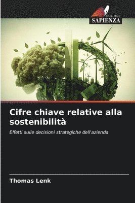 Cifre chiave relative alla sostenibilit 1