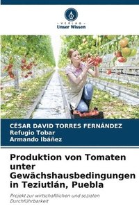bokomslag Produktion von Tomaten unter Gewchshausbedingungen in Teziutln, Puebla