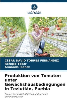 Produktion von Tomaten unter Gewchshausbedingungen in Teziutln, Puebla 1