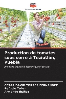 bokomslag Production de tomates sous serre  Teziutln, Puebla