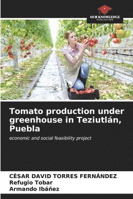 Tomato production under greenhouse in Teziutln, Puebla 1