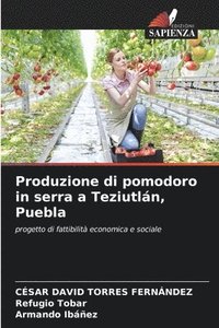 bokomslag Produzione di pomodoro in serra a Teziutln, Puebla