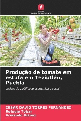 Produo de tomate em estufa em Teziutln, Puebla 1