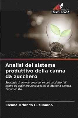 bokomslag Analisi del sistema produttivo della canna da zucchero