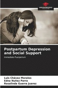bokomslag Postpartum Depression and Social Support