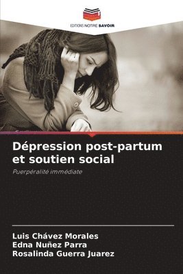 Dpression post-partum et soutien social 1