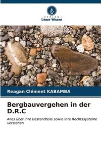 bokomslag Bergbauvergehen in der D.R.C