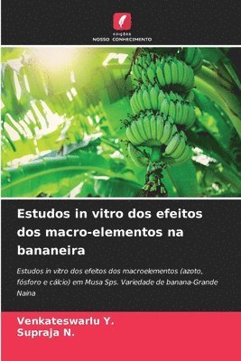 Estudos in vitro dos efeitos dos macro-elementos na bananeira 1