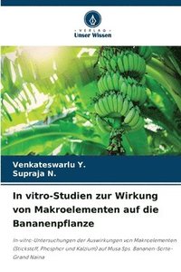 bokomslag In vitro-Studien zur Wirkung von Makroelementen auf die Bananenpflanze