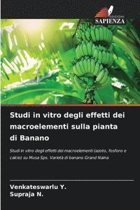 bokomslag Studi in vitro degli effetti dei macroelementi sulla pianta di Banano