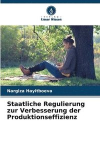 bokomslag Staatliche Regulierung zur Verbesserung der Produktionseffizienz