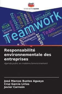 bokomslag Responsabilit environnementale des entreprises