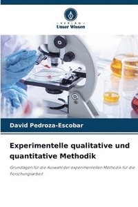 bokomslag Experimentelle qualitative und quantitative Methodik