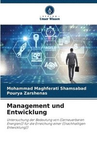 bokomslag Management und Entwicklung