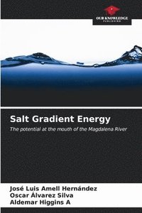 bokomslag Salt Gradient Energy