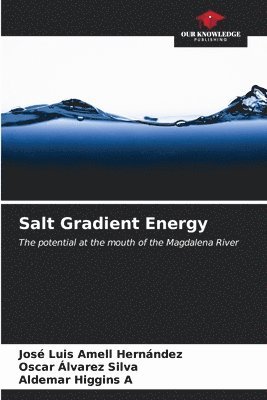 Salt Gradient Energy 1