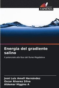 bokomslag Energia del gradiente salino