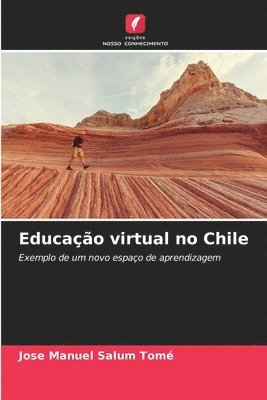 bokomslag Educao virtual no Chile