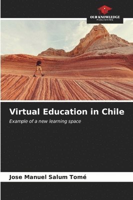 bokomslag Virtual Education in Chile