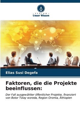 bokomslag Faktoren, die die Projekte beeinflussen