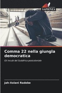 bokomslag Comma 22 nella giungla democratica