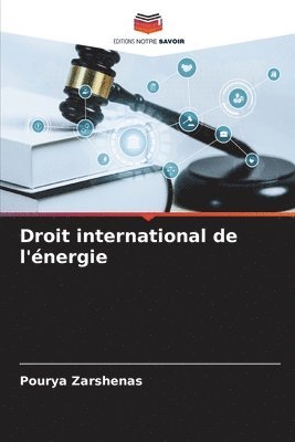 bokomslag Droit international de l'nergie