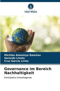bokomslag Governance im Bereich Nachhaltigkeit
