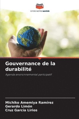 bokomslag Gouvernance de la durabilit