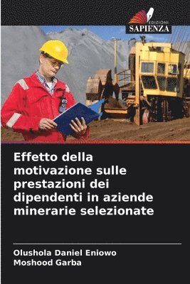 Effetto della motivazione sulle prestazioni dei dipendenti in aziende minerarie selezionate 1