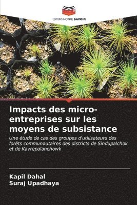 Impacts des micro-entreprises sur les moyens de subsistance 1