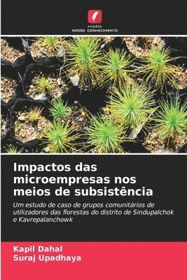 bokomslag Impactos das microempresas nos meios de subsistncia