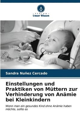 bokomslag Einstellungen und Praktiken von Mttern zur Verhinderung von Anmie bei Kleinkindern