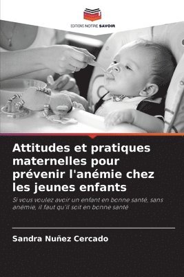 bokomslag Attitudes et pratiques maternelles pour prvenir l'anmie chez les jeunes enfants