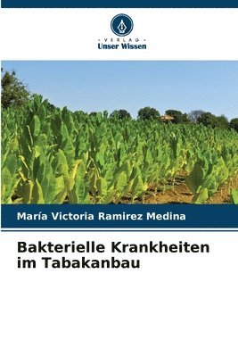 Bakterielle Krankheiten im Tabakanbau 1