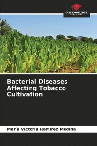 bokomslag Bacterial Diseases Affecting Tobacco Cultivation