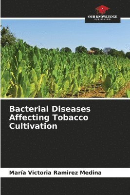 bokomslag Bacterial Diseases Affecting Tobacco Cultivation