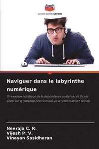 bokomslag Naviguer dans le labyrinthe numrique