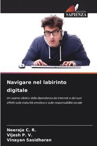 bokomslag Navigare nel labirinto digitale