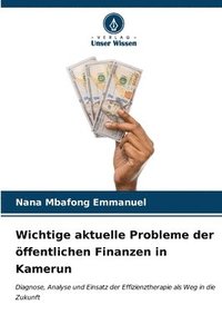 bokomslag Wichtige aktuelle Probleme der ffentlichen Finanzen in Kamerun