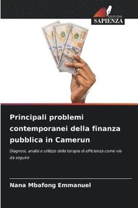 bokomslag Principali problemi contemporanei della finanza pubblica in Camerun